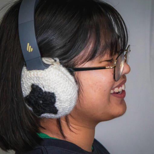 headphone covers